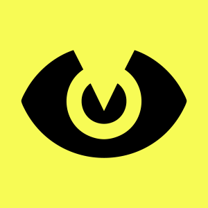 Verdict Vision Logo